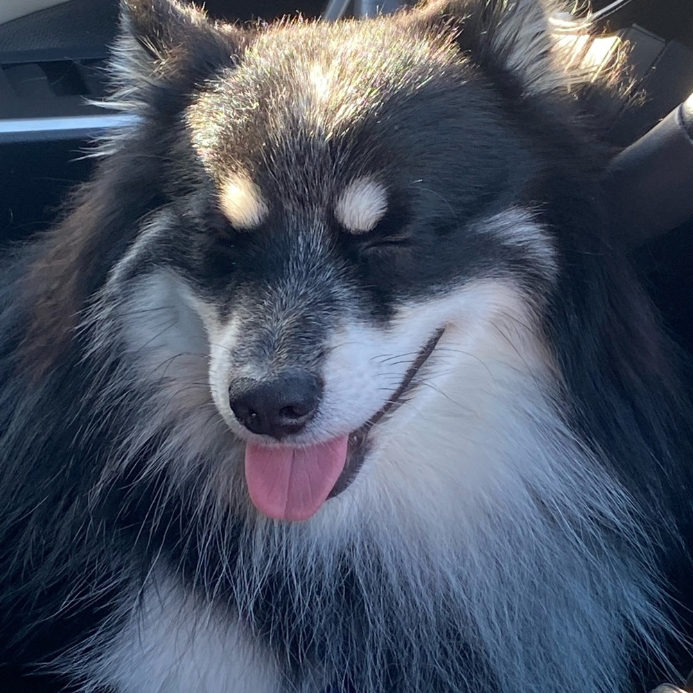 Meet your Posher, Mckenna